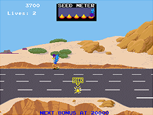 Road Runner gameplay screen shot