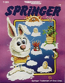 Springer promotional flyer