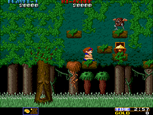 Wardner gameplay screen shot