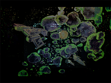 Asteroids Deluxe gameplay screen shot