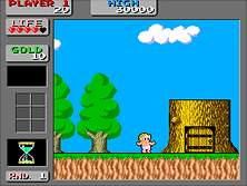 Wonder Boy in Monster Land gameplay screen shot