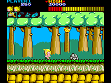 Wonder Boy gameplay screen shot