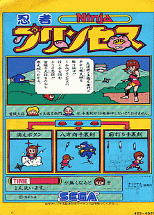 Ninja Princess promotional flyer