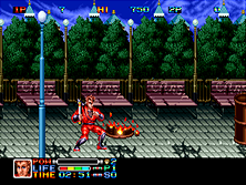 Ninja Combat gameplay screen shot