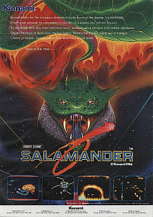 Salamander promotional flyer