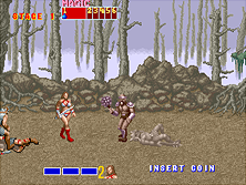 Golden Axe gameplay screen shot