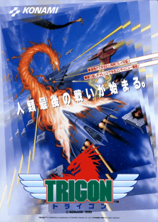 Trigon promotional flyer