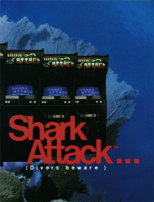 Shark Attack promotional flyer
